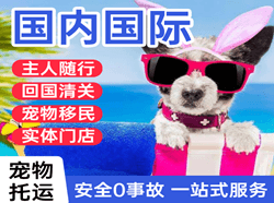 陇南成县机场空运国际宠物托运 【国